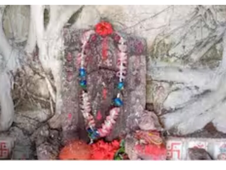 নিমগাছে বাস করেন কালী, মনবাঞ্ছা পূরণে  ছুটে আসেন লক্ষ লক্ষ ভক্ত