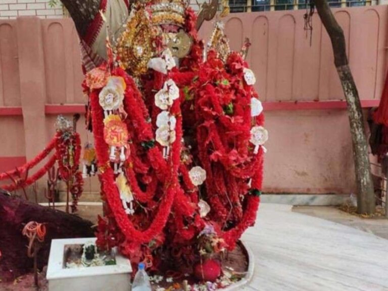 নিম কাঠের প্রতিমায় হয় পূজো, নিয়মিত দেওয়া হয় আমিষ ভোগ, কালী এখানে ঘরের মেয়ে