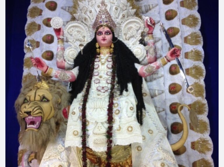 চন্দননগর ডেস্টিনেশন; কোন কোন ঠাকুর দেখবেন
