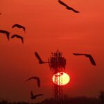 জামাত ছাড়াই সরকার গঠনের ডাক দিল BNP !