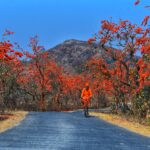 বুদ্ধদেবের পথেই রাষ্ট্রীয় সম্মান প্রত্যাখ্যান করলেন ভিএস অচ্যুতানন্দনের পরিবার !